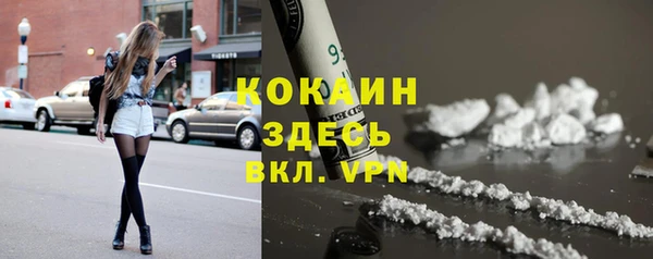 ешки Алзамай
