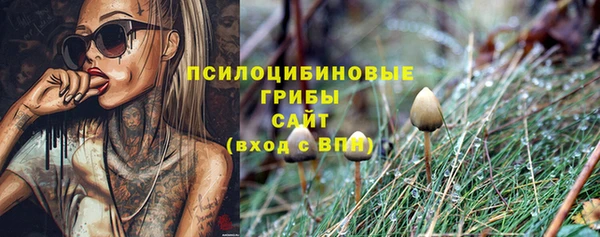 ешки Алзамай